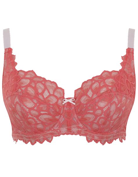 The Enchanting Allure Magical Bra: A Versatile Addition to Your Lingerie Collection
